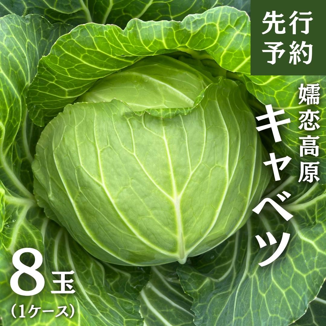 13位! 口コミ数「0件」評価「0」嬬恋高原 キャベツ 8玉 1ケース きゃべつ 嬬恋キャベツ 産地直送 群馬 お取り寄せ 野菜 セット Lサイズ