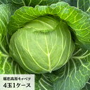 【ふるさと納税】嬬恋高原 キャベツ 4玉 1ケース きゃべつ 嬬恋キャベツ 産地直送 群馬 お取り寄せ 野菜 セット Lサイズ