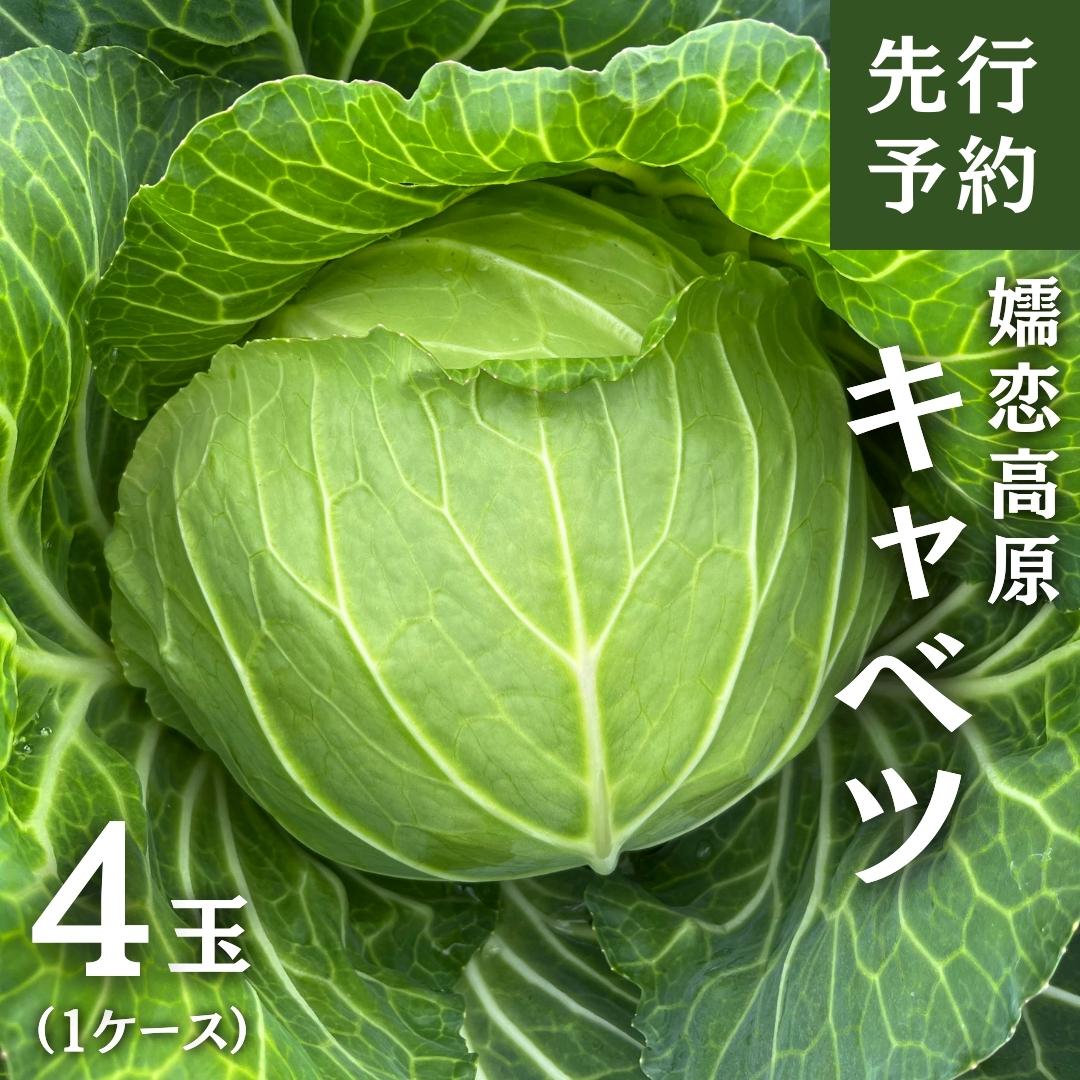 《先行予約》 嬬恋 高原 キャベツ 4玉 1ケース 2024年発送 きゃべつ 嬬恋キャベツ 産地直送 群馬 お取り寄せ 野菜 セット Lサイズ