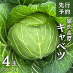 【ふるさと納税】《先行予約》 嬬恋 高原 キャベツ 4玉 1ケース 2024年発送 きゃべつ 嬬恋キャベツ 産地直送 群馬 お取り寄せ 野菜 セット Lサイズ