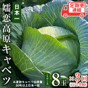 《 先行予約 》定期便 嬬恋 高原 キャベツ 8玉 1ケース 2024年7月発送開始 3ヶ月連続 嬬恋キャベツ きゃべつ 産地直送 群馬 お取り寄せ 野菜 セット Lサイズ