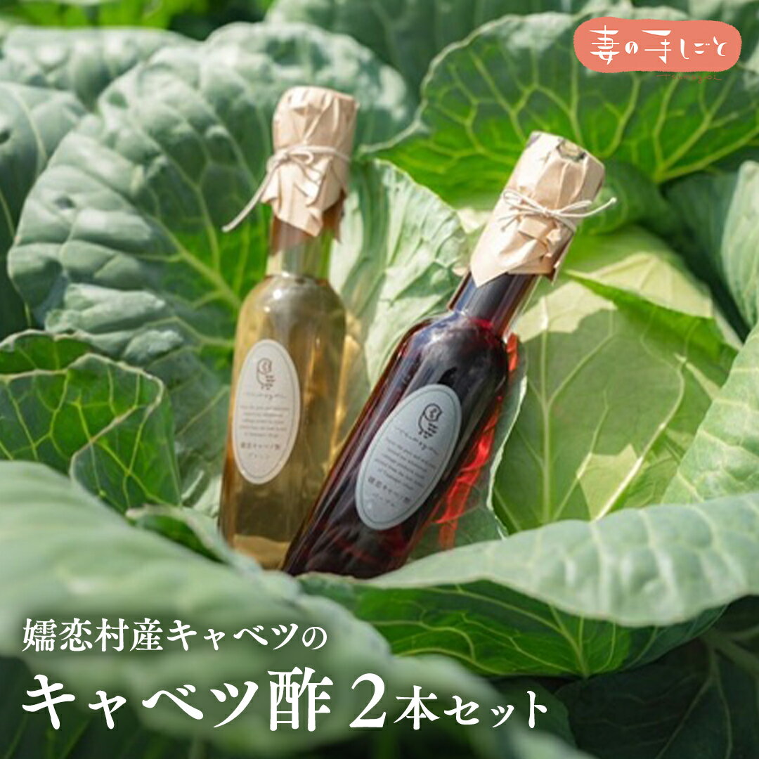 【ふるさと納税】キャベツ酢2本セット 酢 調味料 ダイエット 酢キャベツ おすすめ ダイエット 1