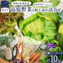 【ふるさと納税】本日のおまかせ 高原野菜 5種以上 の 詰合せ と 加工品 1つ のセット 計10kg おまかせ 野菜 野菜セット 旬の野菜 産地直送 嬬恋キャ...