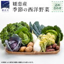 【ふるさと納税】 ≪ レビューキャンペーン ≫ 嬬恋産 季節の 西洋野菜 詰め合わせ 先行予約 2025年発送 産地直送 野菜 野菜セット 旬の野菜 新鮮 おま...