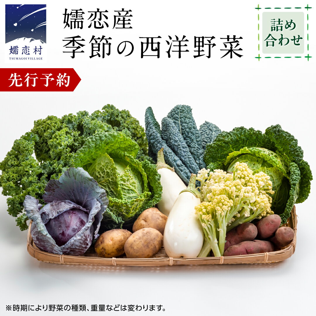 ≪ レビューキャンペーン ≫ [7月中旬以降発送開始] 嬬恋産 季節の 西洋野菜 詰め合わせ 先行予約 2025年発送 産地直送 野菜 野菜セット 旬の野菜 新鮮 おまかせ 季節の野菜 農家直送