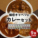 10位! 口コミ数「0件」評価「0」嬬恋 キャベツ の カレー セット 9個 詰め合わせ 惣菜 レトルト レトルトカレー キーマカレー 食べ比べ 上州牛