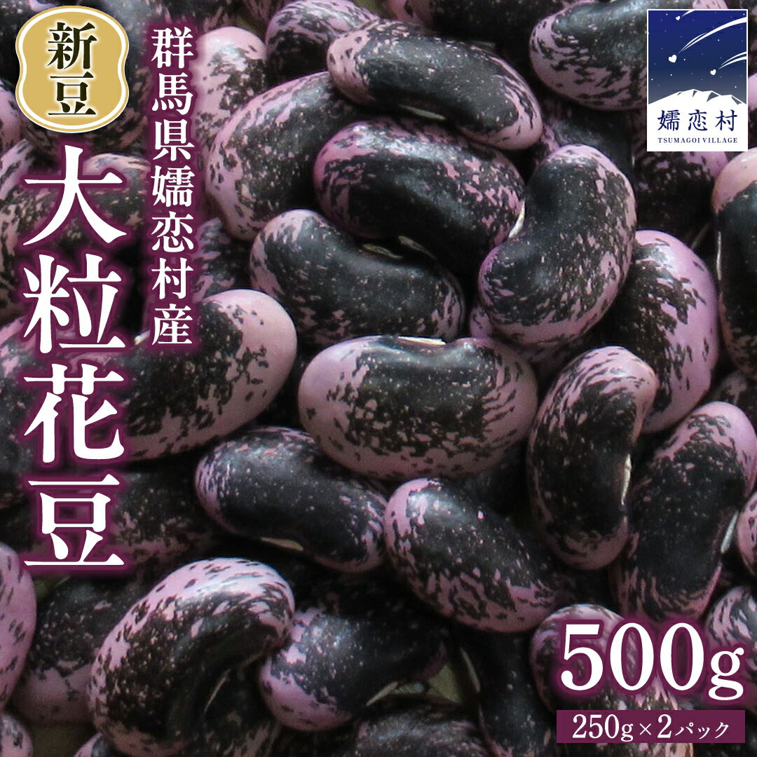 【ふるさと納税】 新豆 嬬恋村浅間高原特産 【大粒】乾燥花豆500g 【 12/18 ～ 決済分 1月上旬 発送予定】 花まめ 花豆 群馬 黒豆 煮豆 おせち 数量限定のサムネイル
