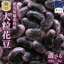 【ふるさと納税】 【2025年 11月上旬 発送開始】 < 選べる 内容量 > 新豆 嬬恋村 浅間高原特産【 大粒 】乾燥 花豆 500g or 1kg 先行予...