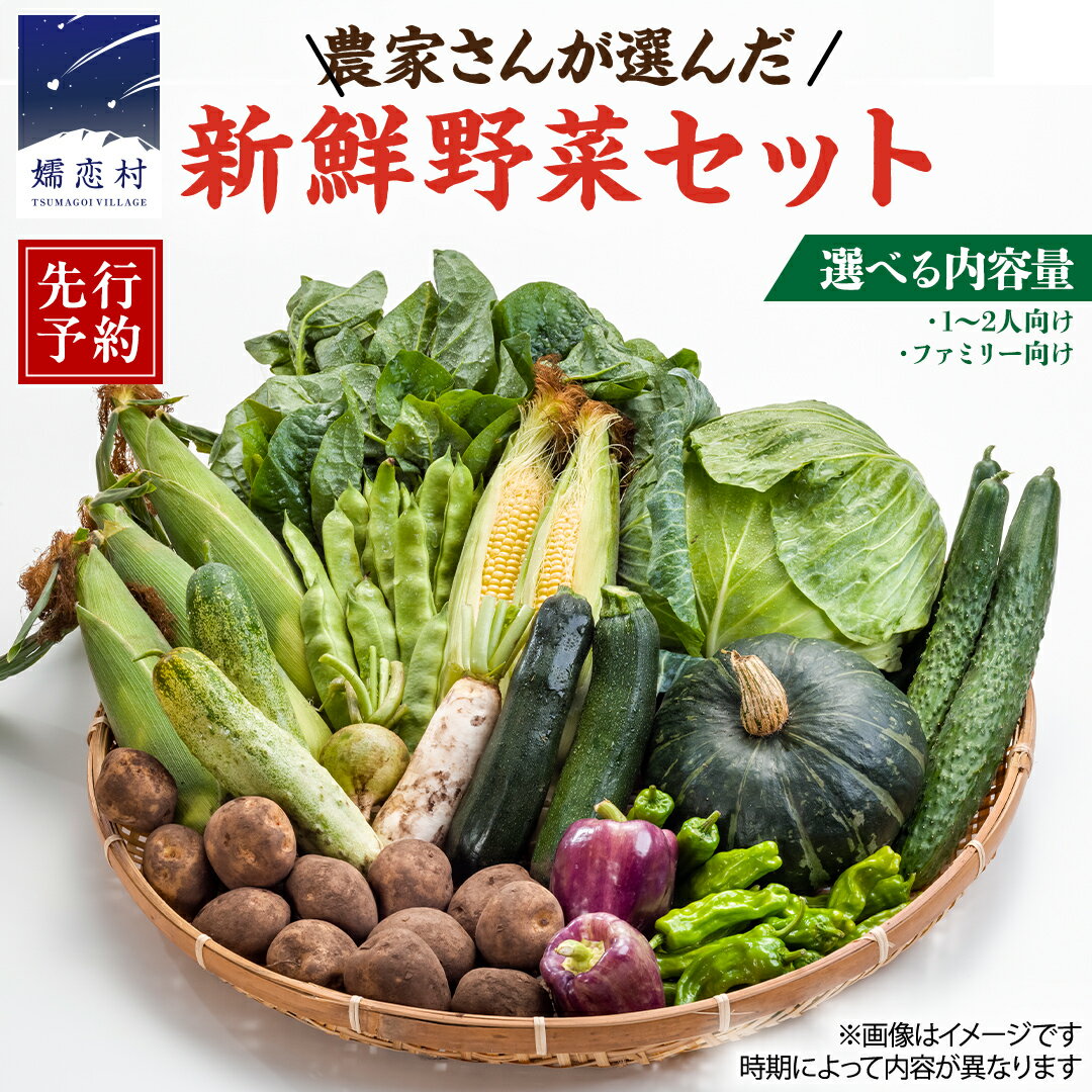 【 8月 上旬発送開始】 嬬恋キャベツ 入り！農家さんが選んだ 新鮮 高原 野菜 セット 選べる内容量 キャベツ 群馬 野菜 セット 産地直送 詰め合わせ アソート 期間限定 少量