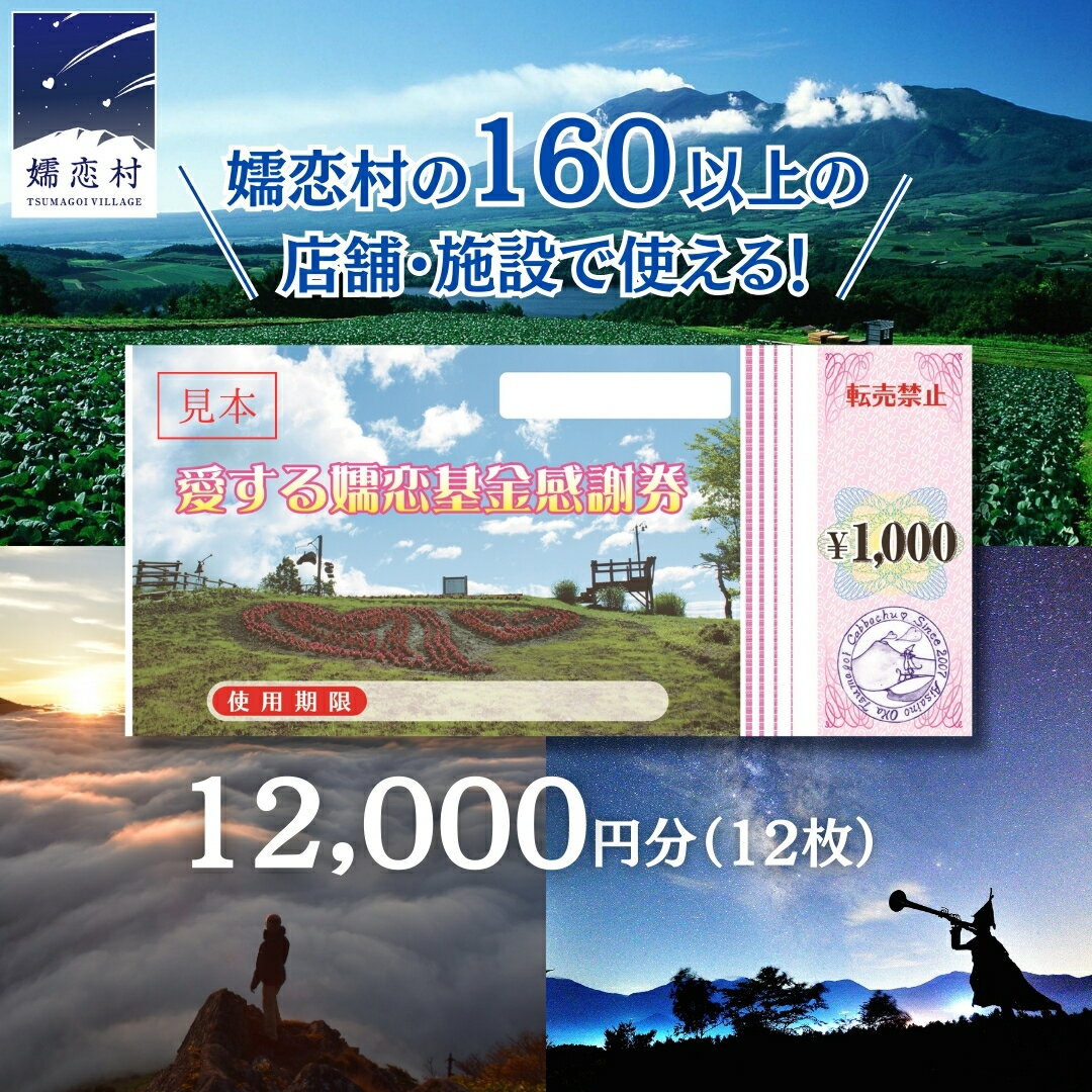 【ふるさと納税】嬬恋村 で使える 感謝券12,000円分（12枚） 観光 旅行券 宿泊券 旅行 温泉 スキー ゴルフ ペンション 万座 浅間高原 鹿沢 バラギ 関東 40000円 クーポン チケット 国内旅行 お泊り 日帰り 観光地応援