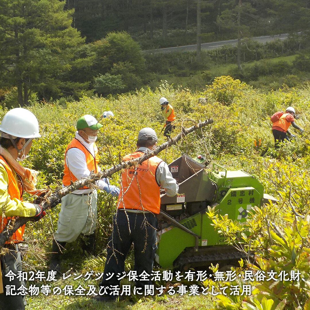 【ふるさと納税】【返礼品なし】群馬県 嬬恋村 ...の紹介画像3