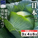 【ふるさと納税】 ≪ レビューキャンペーン ≫ 嬬恋キャベツ 【7月上旬以降発送開始】 <選べる数量&お届け回数> 定期便 きゃべつ 嬬恋キャベツ 産地直送 群...