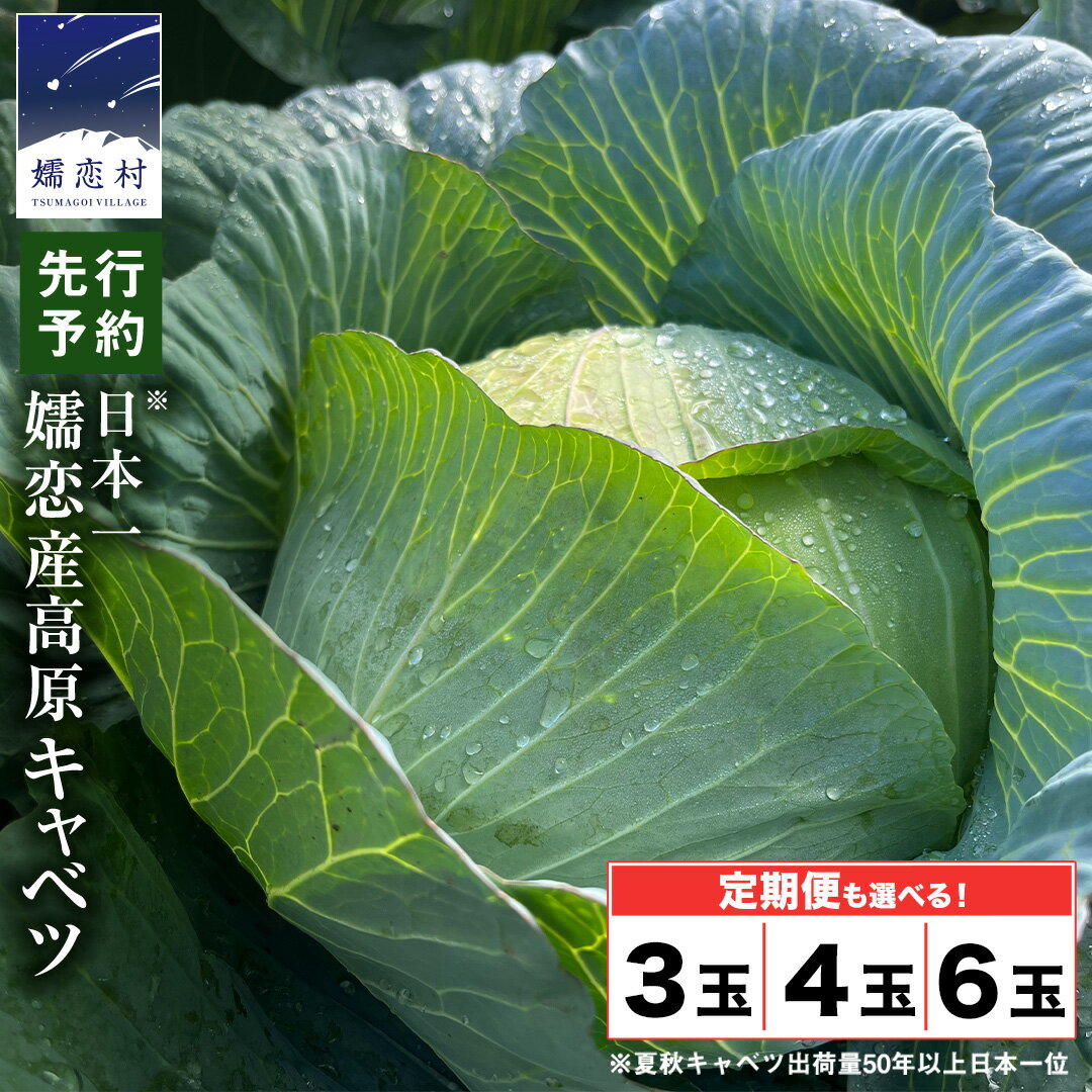 【ふるさと納税】 ≪ レビューキャンペーン ≫ 嬬恋キャベツ 【7月上旬以降発送開始】 ＜選べる数量&お届け回数＞ 定期便 きゃべつ 嬬恋キャベツ 産地直送 群馬 お取り寄せ 野菜 セット Lサイズ ZIP! 新鮮 季節の野菜 旬の野菜