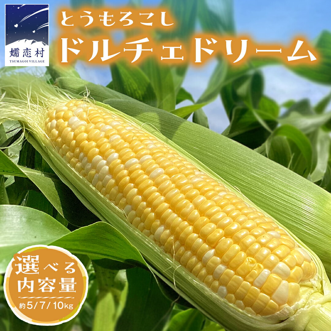 【ふるさと納税】【 数量限定 】 嬬恋産 とうもろこし ドルチェドリーム 約9本～11本 約5kg トウモロコシ 大粒 野菜 群馬 産地直送 期間限定 お取り寄せのサムネイル