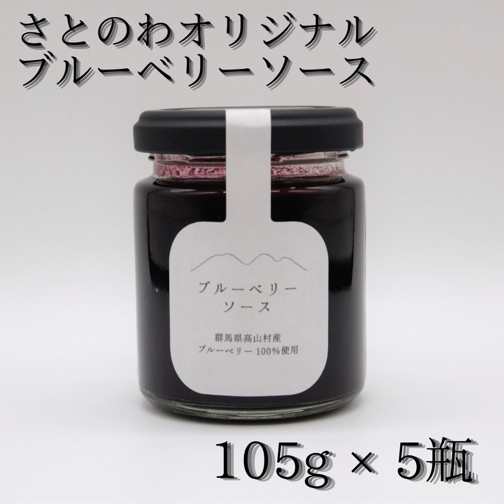 18位! 口コミ数「0件」評価「0」ブルーベリーソース＊105g × 5瓶