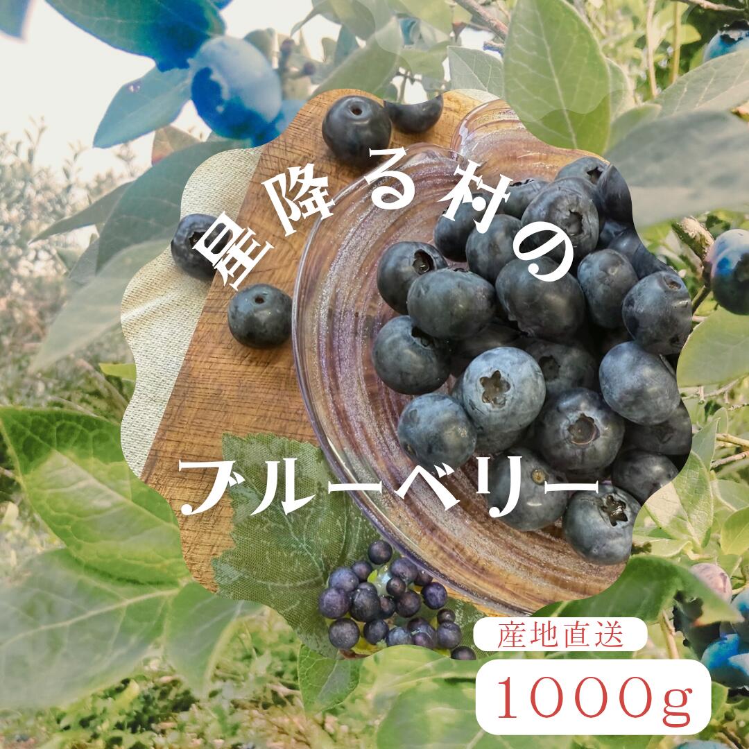 【ふるさと納税】高山村産ブルーベリー　1000g
