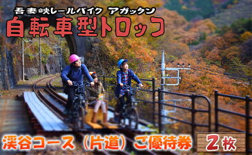 【ふるさと納税】体験 自転車型トロッコ「アガッタン」優待券2枚 【体験チケット】