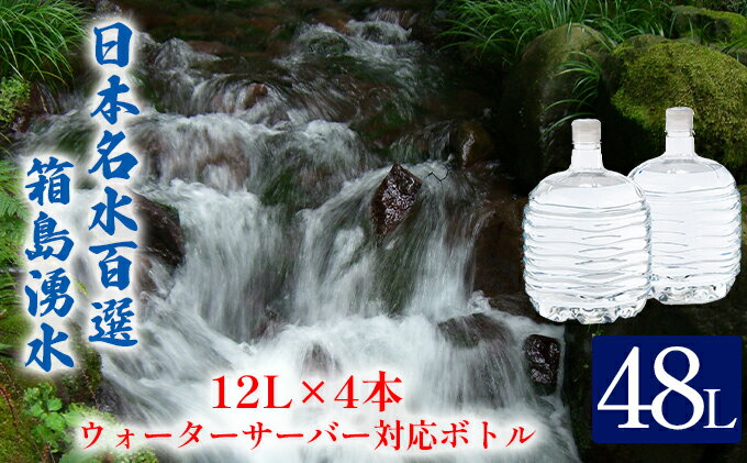 【ふるさと納税】群馬の名水 箱島湧水 エアL 12L×4本 ウォーターサーバー 対応ボトル(2本×2回) 飲料 ドリンク 飲料類 水 ミネラルウォーター 名水 天然水　【飲料・ドリンク・飲料類・水・ミネラルウォーター】