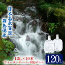 【ふるさと納税】群馬の名水 箱島湧水 エアL 12L×10本 ウォーターサーバー 対応ボトル(2本×5回) 飲料 ドリンク 飲料類 水 ミネラルウォーター 名水 天然水　【飲料・ドリンク・飲料類・水・ミネラルウォーター】