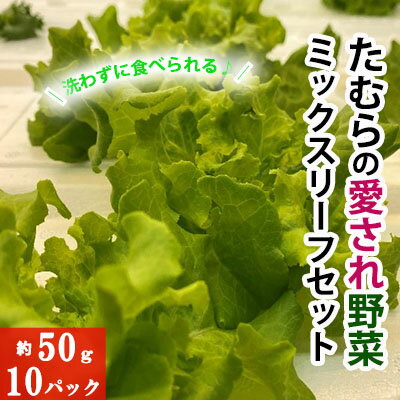 洗わずに食べられる!たむらの愛され野菜 ミックスリーフセット 10個 [野菜・洗わずに食べられる・サラダ野菜]