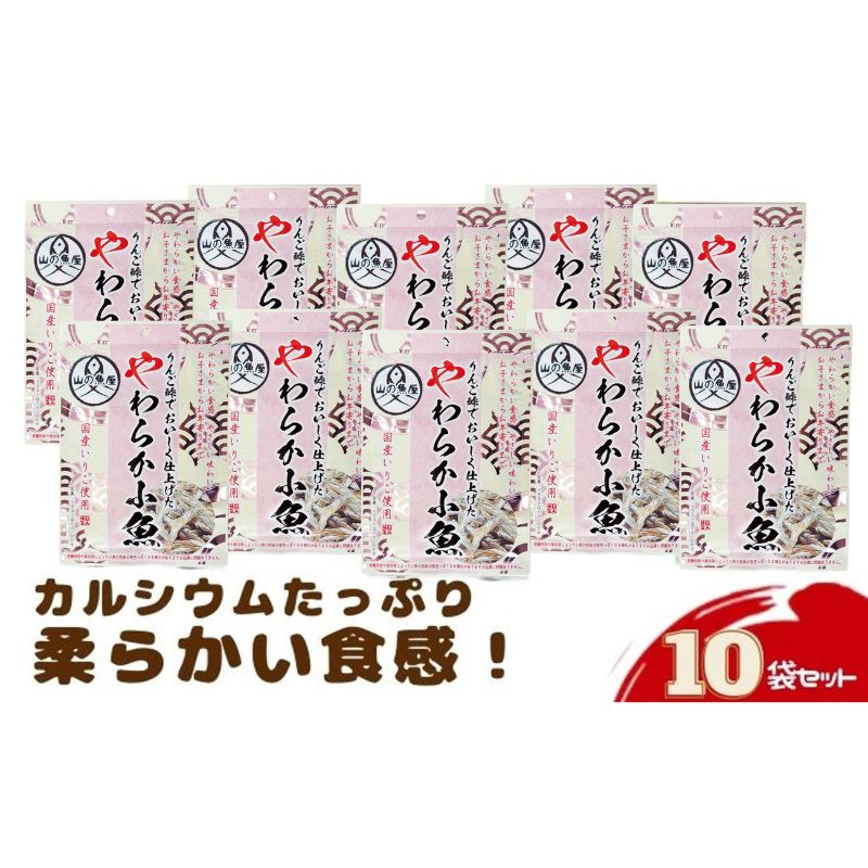 「りんご酢でおいしく仕上げたやわらか小魚」42g×10袋セット　【 お菓子】