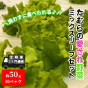 13位! 口コミ数「0件」評価「0」【定期便 3ヶ月連続】洗わずに食べられる！たむらの愛され野菜 ミックスリーフセット　10個　【定期便・ 時短 サラダ 栽培期間中無農薬 安心･･･ 