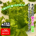 20位! 口コミ数「0件」評価「0」【定期便 6ヶ月連続】洗わずに食べられる！たむらの愛され野菜 ミックスリーフセット　10個　【定期便・ 時短 サラダ 栽培期間中無農薬 安心･･･ 