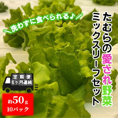 【定期便 6ヶ月連続】洗わずに食べられる！たむらの愛され野菜 ミックスリーフセット　10個　【定期便・ 時短 サラダ 栽培期間中無農薬 安心 安全 3種類以上の野菜 ミックス野菜 サラダ野菜 すぐ食べられる 国産 群馬県産 】