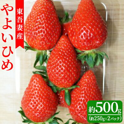 【ふるさと納税】【東吾妻町産】いちご やよいひめ　約250g×2パック 果物 ストロベリー フルーツ デザート 甘味が強い 酸味まろやか 国産 直送 産地直送　【 おやつ 少しやわらか 口当たりが良い 直送 】　お届け：2024年1月10日～5月14日まで