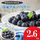 【ふるさと納税】【東吾妻産】冷凍ブルーベリー 約2.6kg　【 フルーツ 果物 冷凍フルーツ 国産 完熟ブルーベリー 大粒 そのまま スムー..