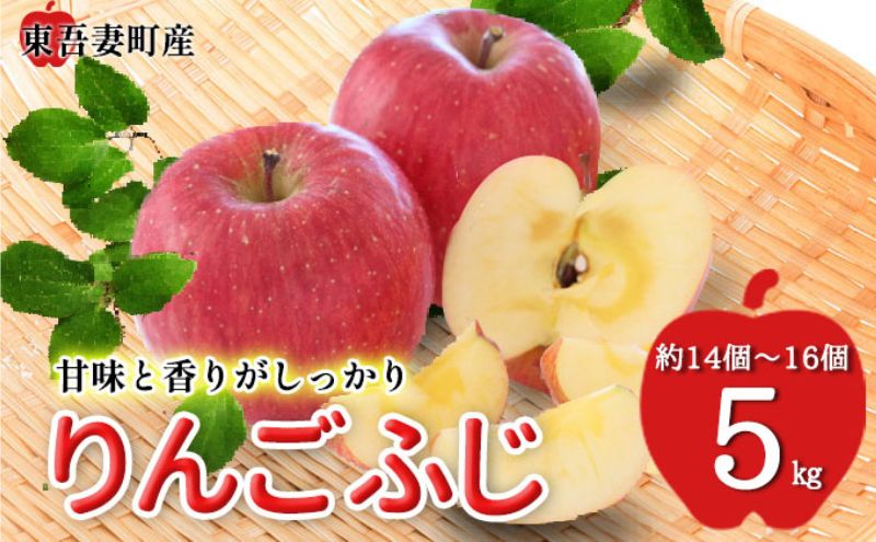 【ふるさと納税】東吾妻町産 りんご ふじ 5kg(14個から16個） リンゴ アップル 果物類 フルーツ 果物 果汁豊富 甘味 香り シャキシャキ 食後 デザート おやつ 群馬県産りんご 　お届け：2025年11月15日～12月15日まで