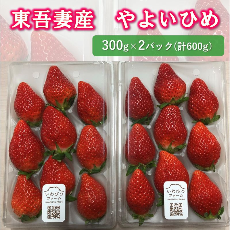 東吾妻産 いちご「やよいひめ」 約300g×2パックセット 計約600g 苺 ストロベリー 果物 苺 イチゴ [ フルーツ デザート 食後 まろやかな甘味 さわやかな後味 ほど良い酸味 ] お届け:2024年1月5日〜2024年5月21日