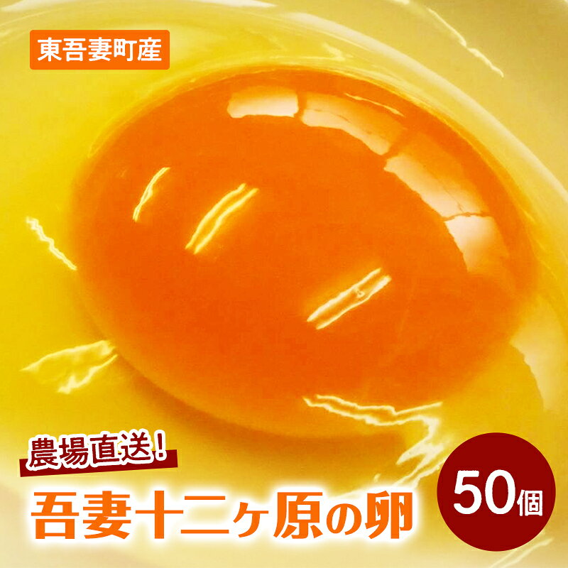 農場直送!吾妻十二ヶ原の卵(50個) 鶏卵 たまご タマゴ 卵 安心 こだわり 食卓 堀田養鶏場 群馬県 東吾妻町