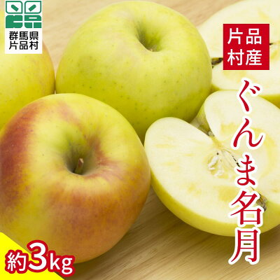 楽天ふるさと納税 【ふるさと納税】尾瀬の郷 片品村産 ぐんま名月 りんご 約3kg リンゴ 林檎 ふじ