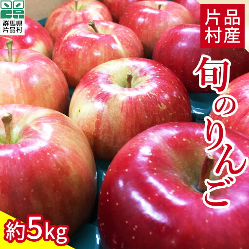 【ふるさと納税】尾瀬の郷 片品村産 旬のリンゴおまかせセット 約5kg 【ふるさと納税】尾瀬の郷 片品村産 旬のリンゴおまかせセット 約5kg