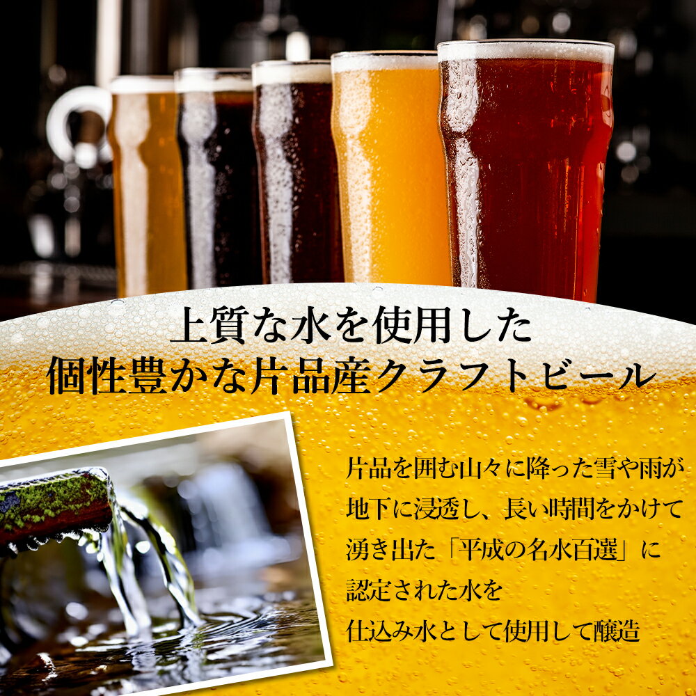 【ふるさと納税】 片品ブリューイング 地ビール 3本セット ビール 飲み比べ セット お酒