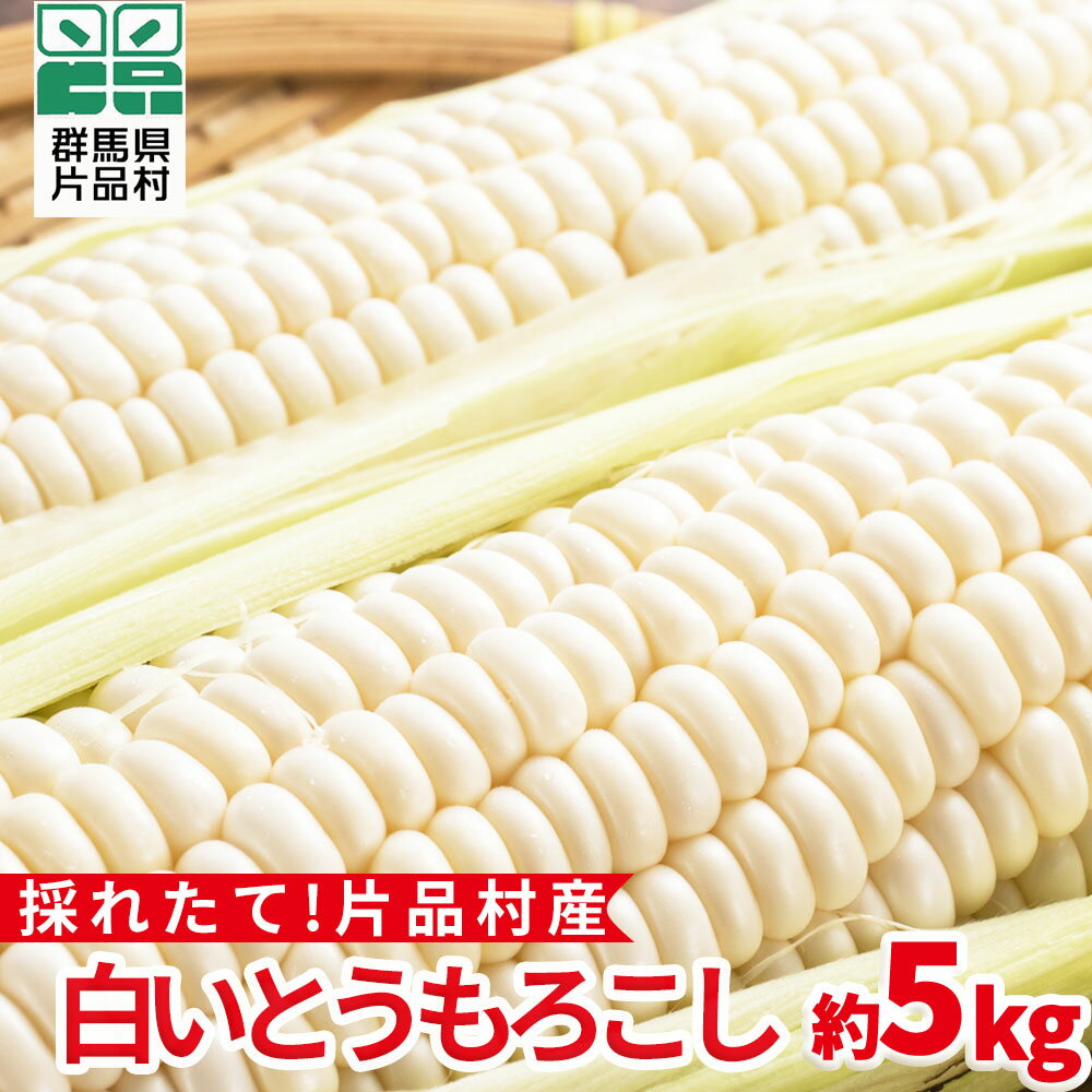 【ふるさと納税】片品村産 白いとうもろこし （ホイップコーン） 約5kg とうもろこし 片品村 トウモロコシ