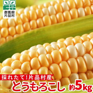 【ふるさと納税】 片品村産とうもろこし (黄色のみ) 1箱 とうもろこし スイートコーン 片品村 トウモロコシ