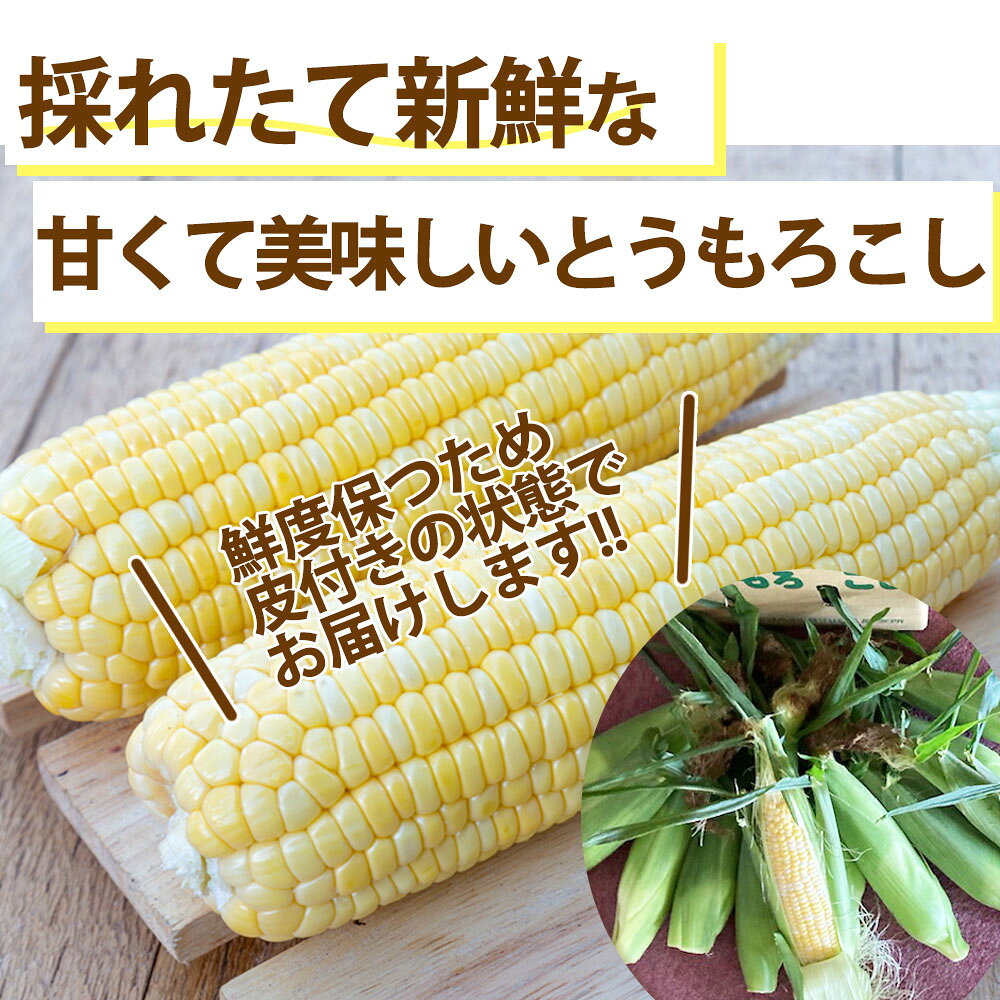 【ふるさと納税】 片品村産とうもろこし (品種：ドルチェドリーム) 1箱 約5kg とうもろこし ドルチェドリーム スイートコーン 片品村 トウモロコシ