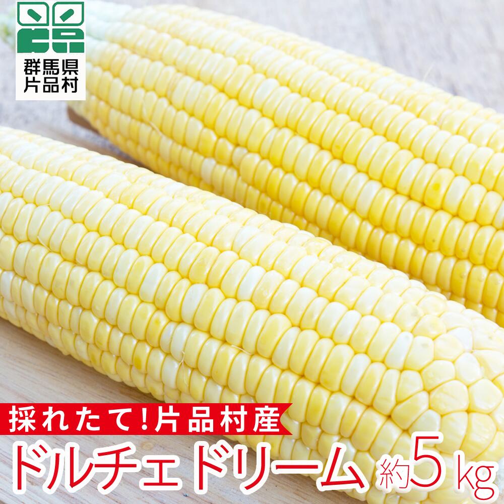 Rakuten - 【ふるさと納税】 片品村産とうもろこし (品種：ドルチェドリーム) 1箱 約5kg とうもろこし ドルチェドリーム スイートコーン 片品村 トウモロコシ