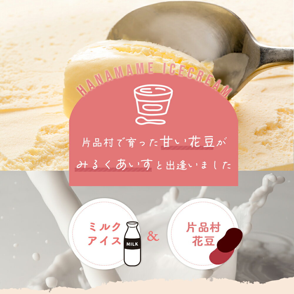 【ふるさと納税】 花豆アイス 12個 アイス アイスクリーム スイーツ