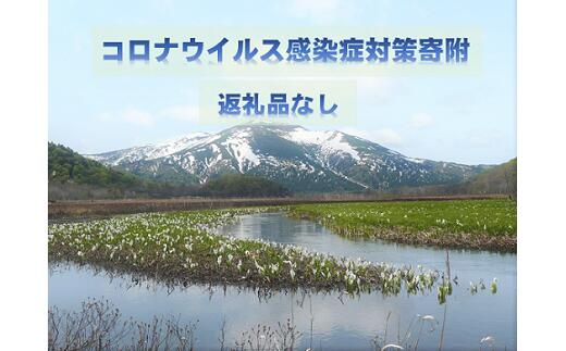 返礼品なし 新型コロナウイルス対策支援