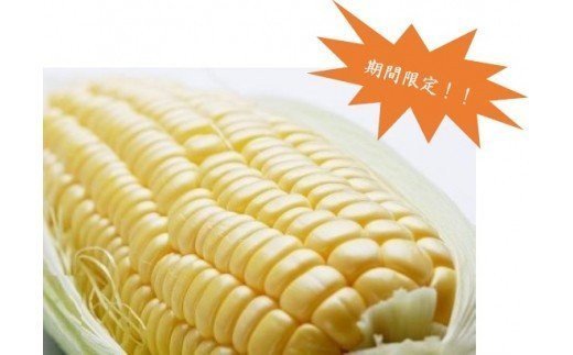 記事ID36462のサムネイル画像
