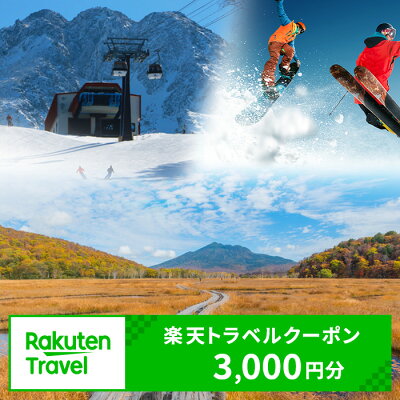 楽天ふるさと納税　【ふるさと納税】群馬県片品村の対象施設で使える楽天トラベルクーポン 寄付額10,000円 尾瀬 旅行 旅行券 宿泊 宿泊券 トラベル トラベルクーポン 観光