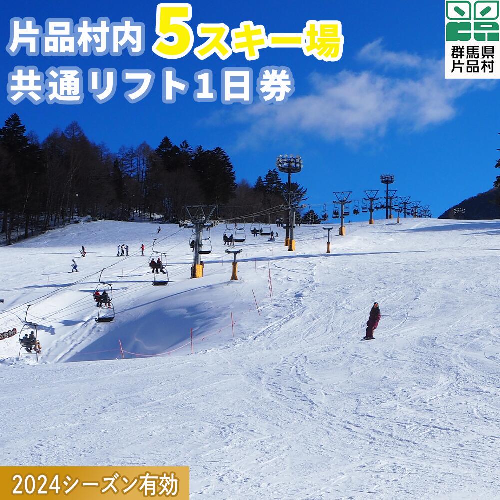 【ふるさと納税】2024シーズン有効 スキーリフト券（1日券引換券） リフト券 スキー スノーボード 群馬 片品村