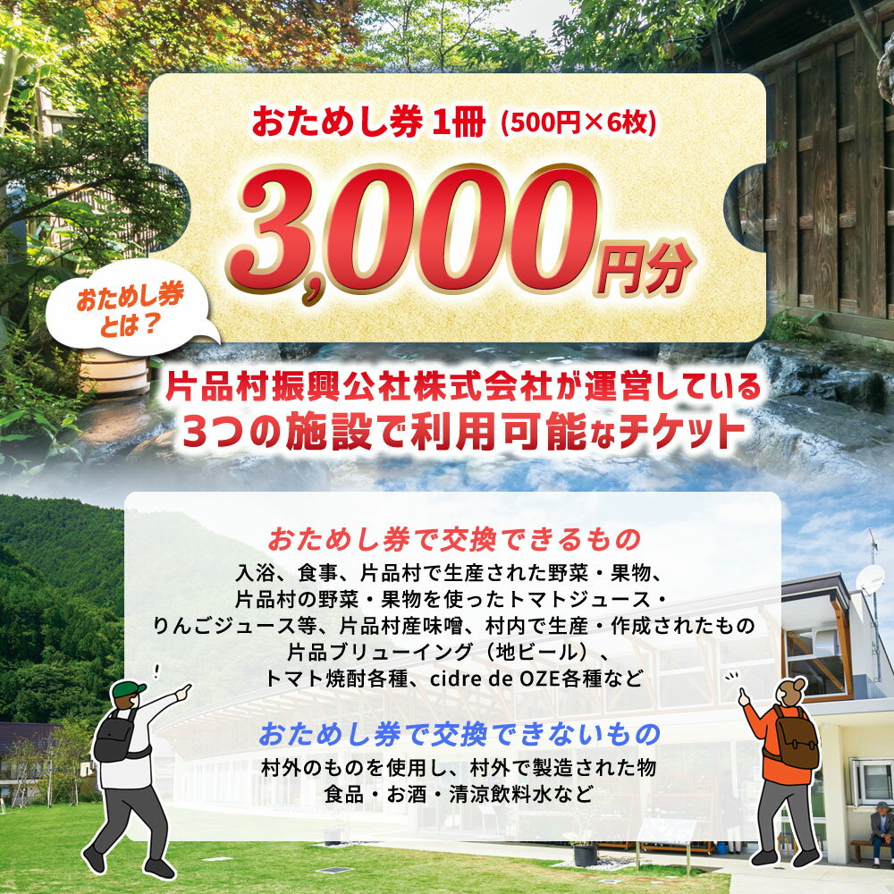 【ふるさと納税】おためし券 (道の駅 尾瀬かたしな・花の駅 花咲の湯・寄居山温泉 ほっこりの湯) 3,000円分 尾瀬 旅行 旅行券 宿泊 宿泊券 トラベル トラベルクーポン 観光