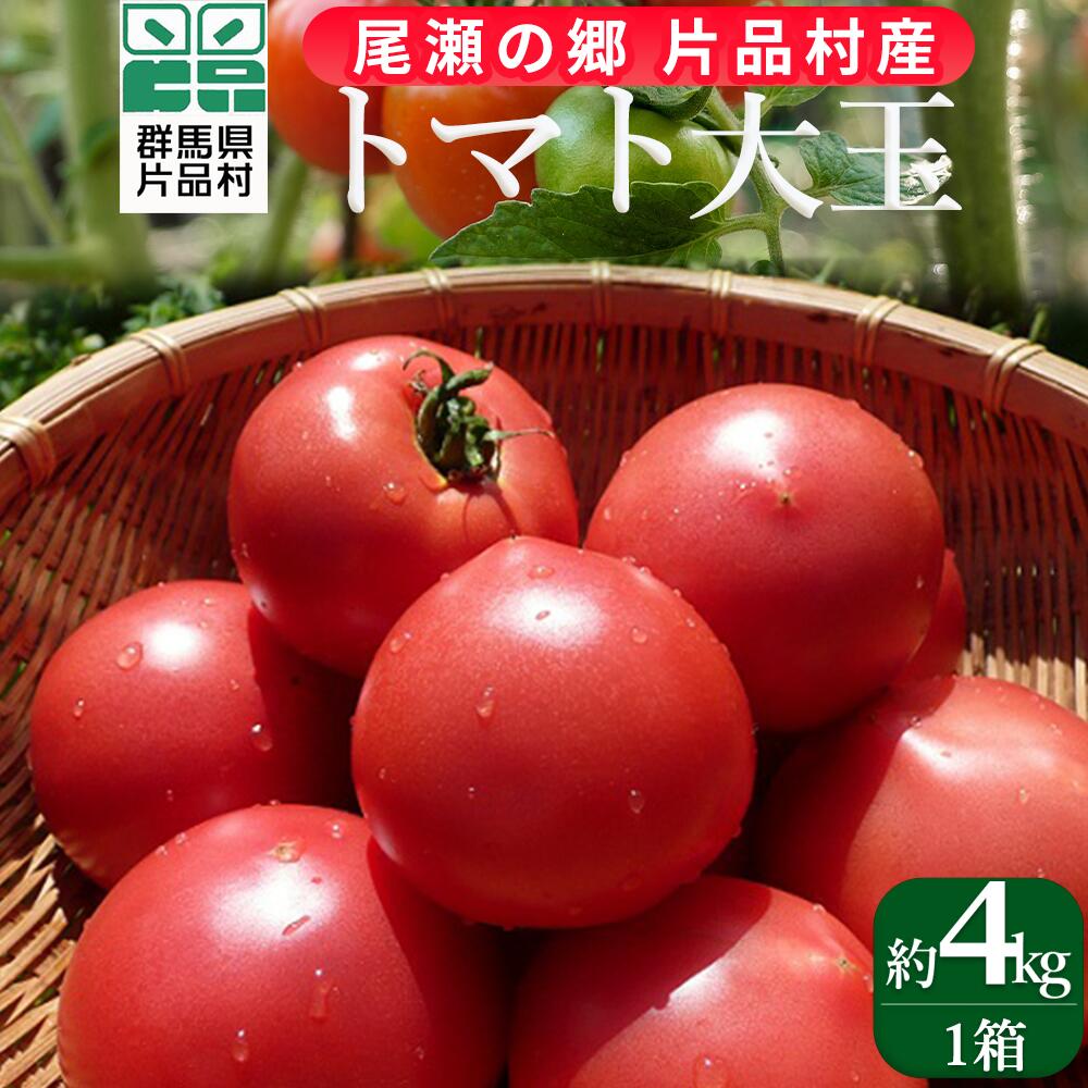 12位! 口コミ数「1件」評価「1」 尾瀬の郷 片品村産トマト (大玉) 1箱 トマト とまと 大玉 野菜 群馬県 片品村