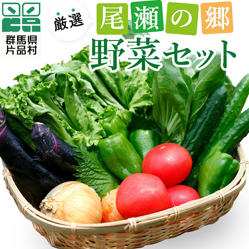 8位! 口コミ数「2件」評価「5」 尾瀬の郷 野菜セット 野菜 詰め合わせ 季節の野菜 旬の野菜 旬野菜 群馬県産 片品村