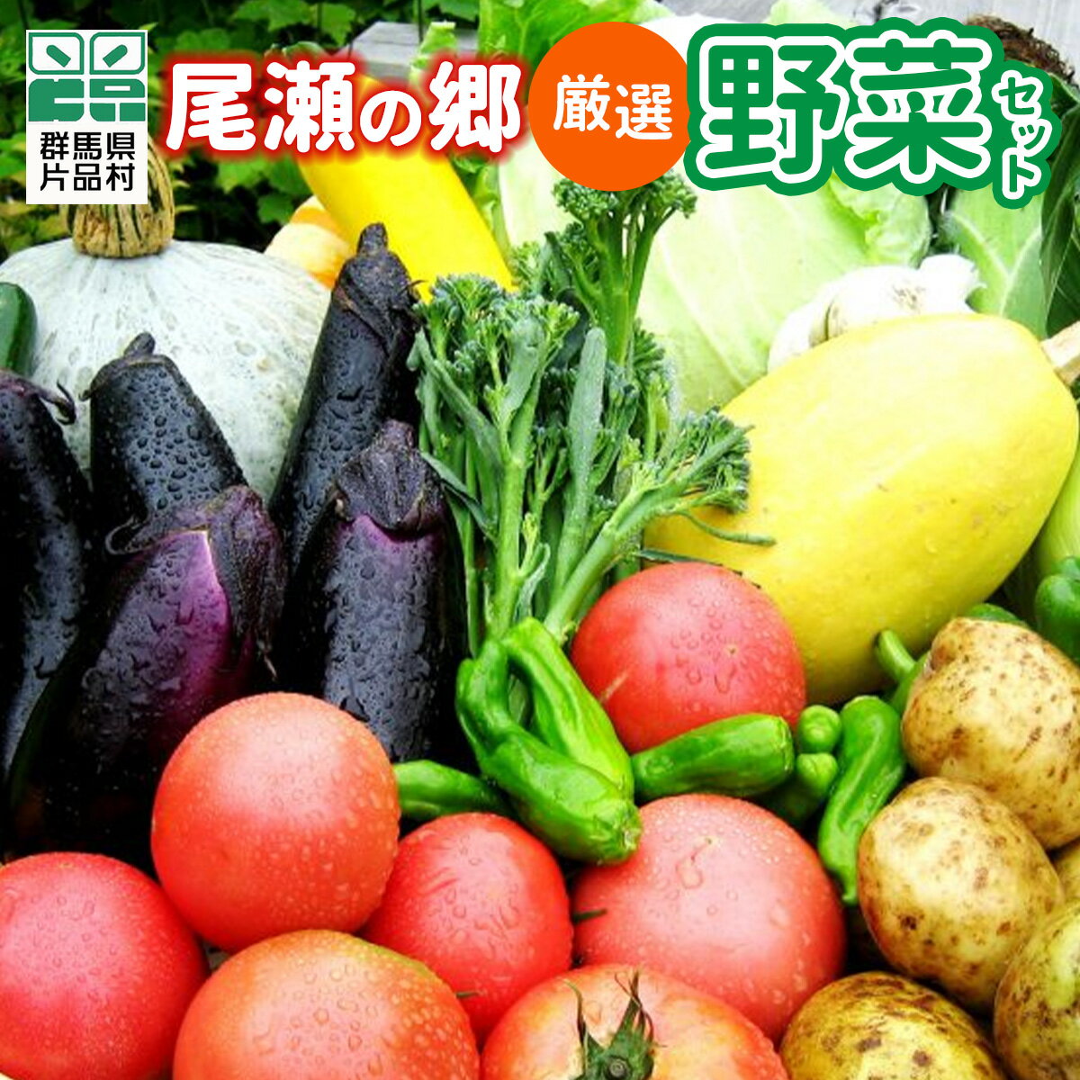 【ふるさと納税】 尾瀬の郷 野菜セット 野菜 詰め合わせ 季節の野菜 旬の野菜 旬野菜 群馬県産 片品村のサムネイル