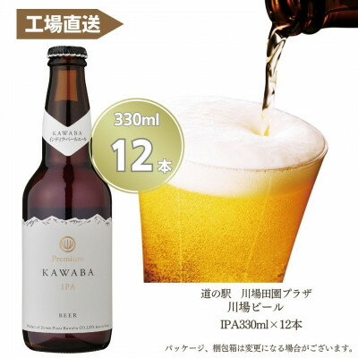 IPA 12本セット